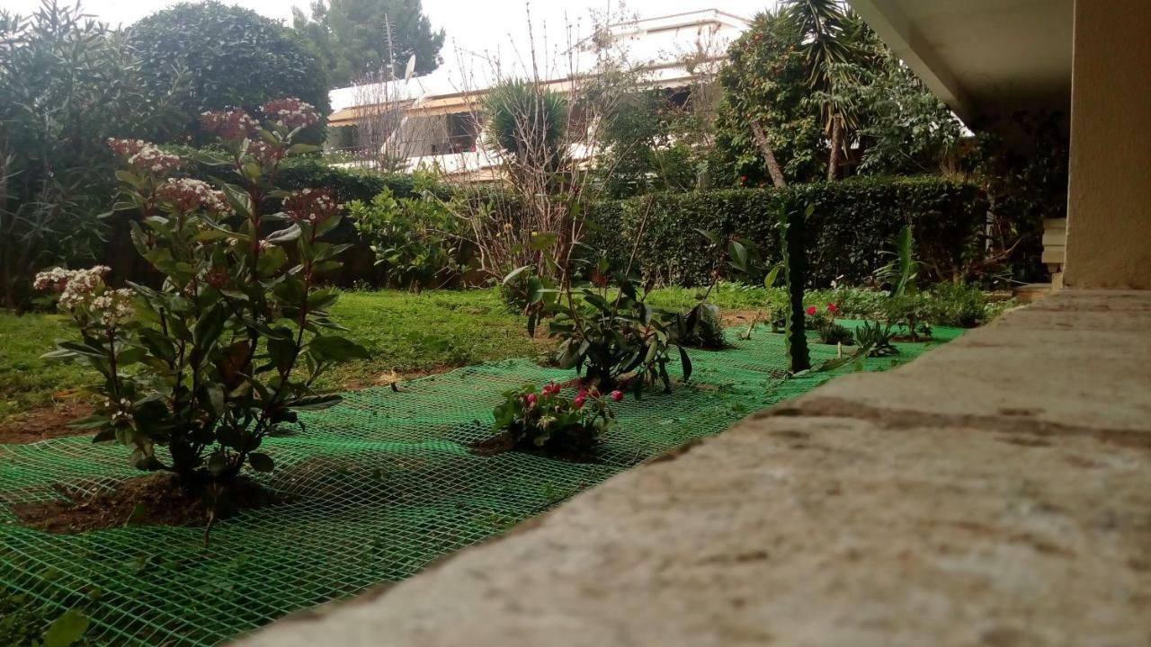 Garden Studio 55 S.M. Athènes Extérieur photo